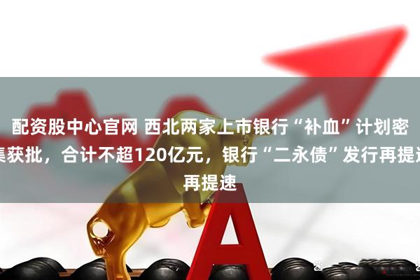 配资股中心官网 西北两家上市银行“补血”计划密集获批，合计不超120亿元，银行“二永债”发行再提速